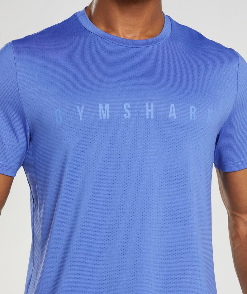 Men's Gymshark Sport Stripe T-Shirts Blue | CA D15387